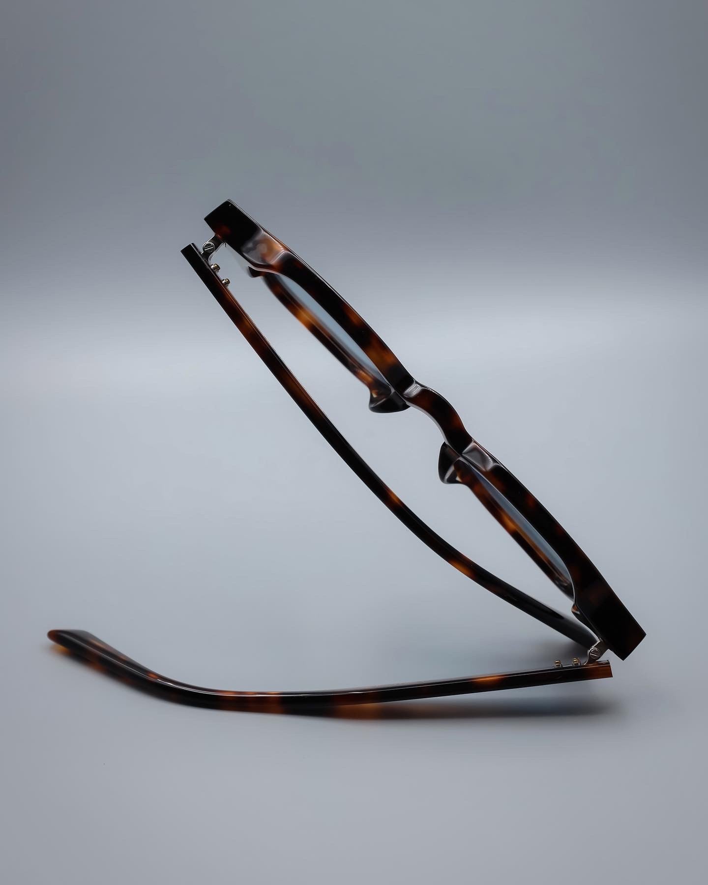Orion Blue Tortoise Sunglasses