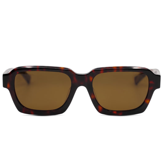 Venice Tortoise Brown Sunglasses