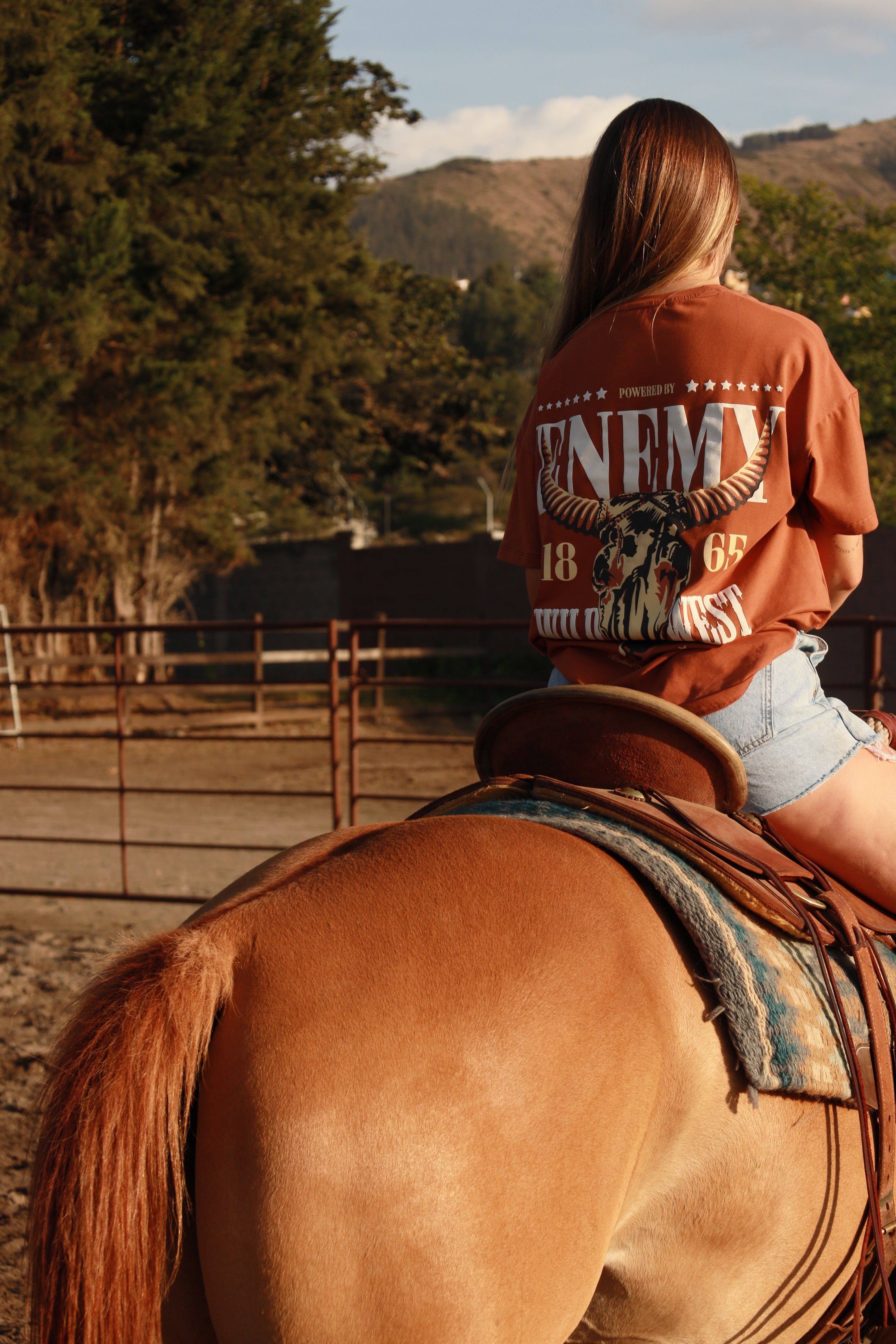 Enemy Wild West Brown T -shirt