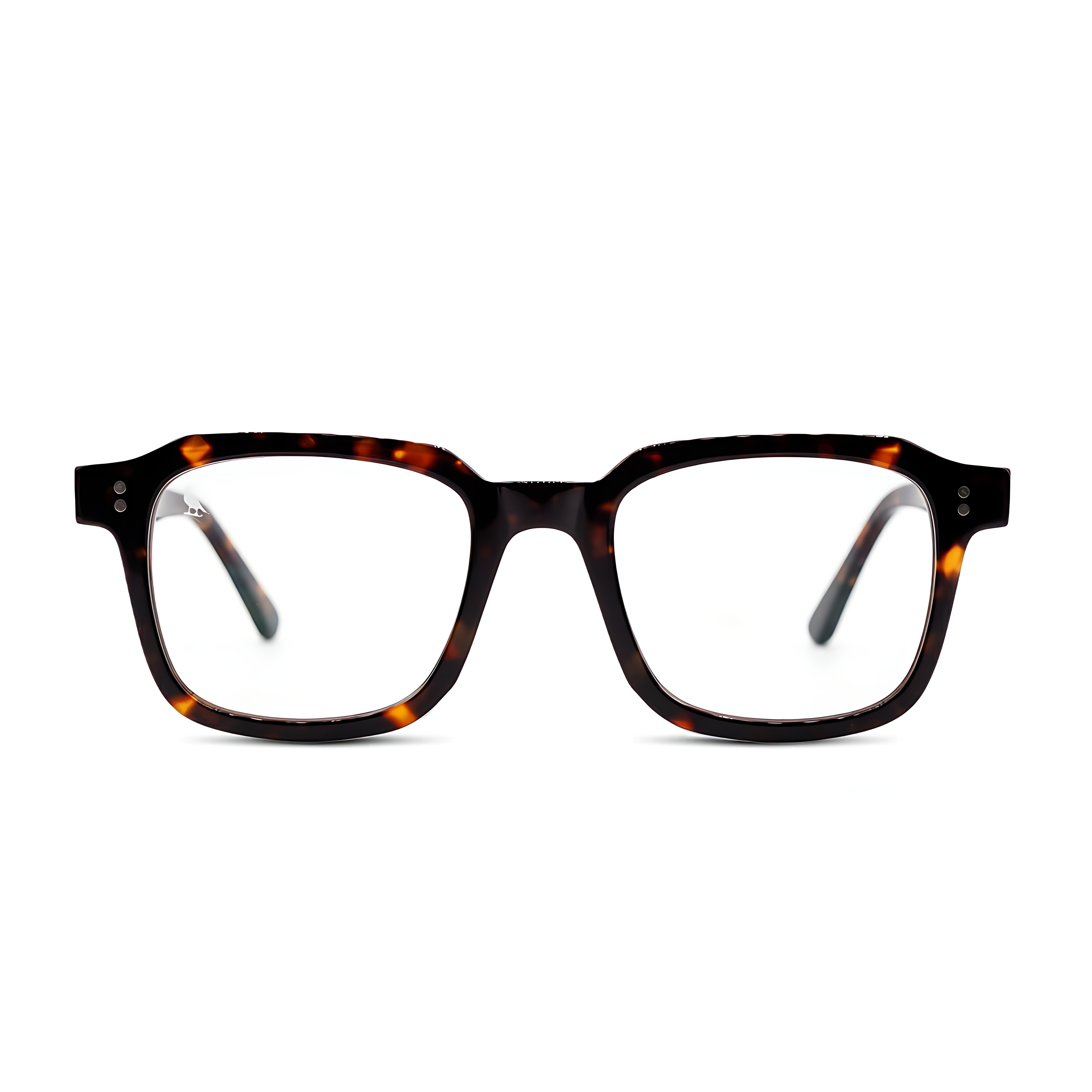 Arvik Dark Tortoise Screen Glasses