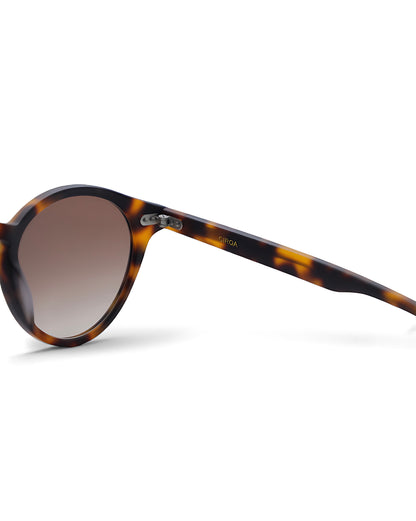 Cirqa Tortoise Matte Sunglasses