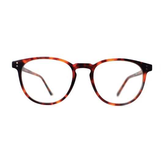 Palermo Tortoise Screen Glasses