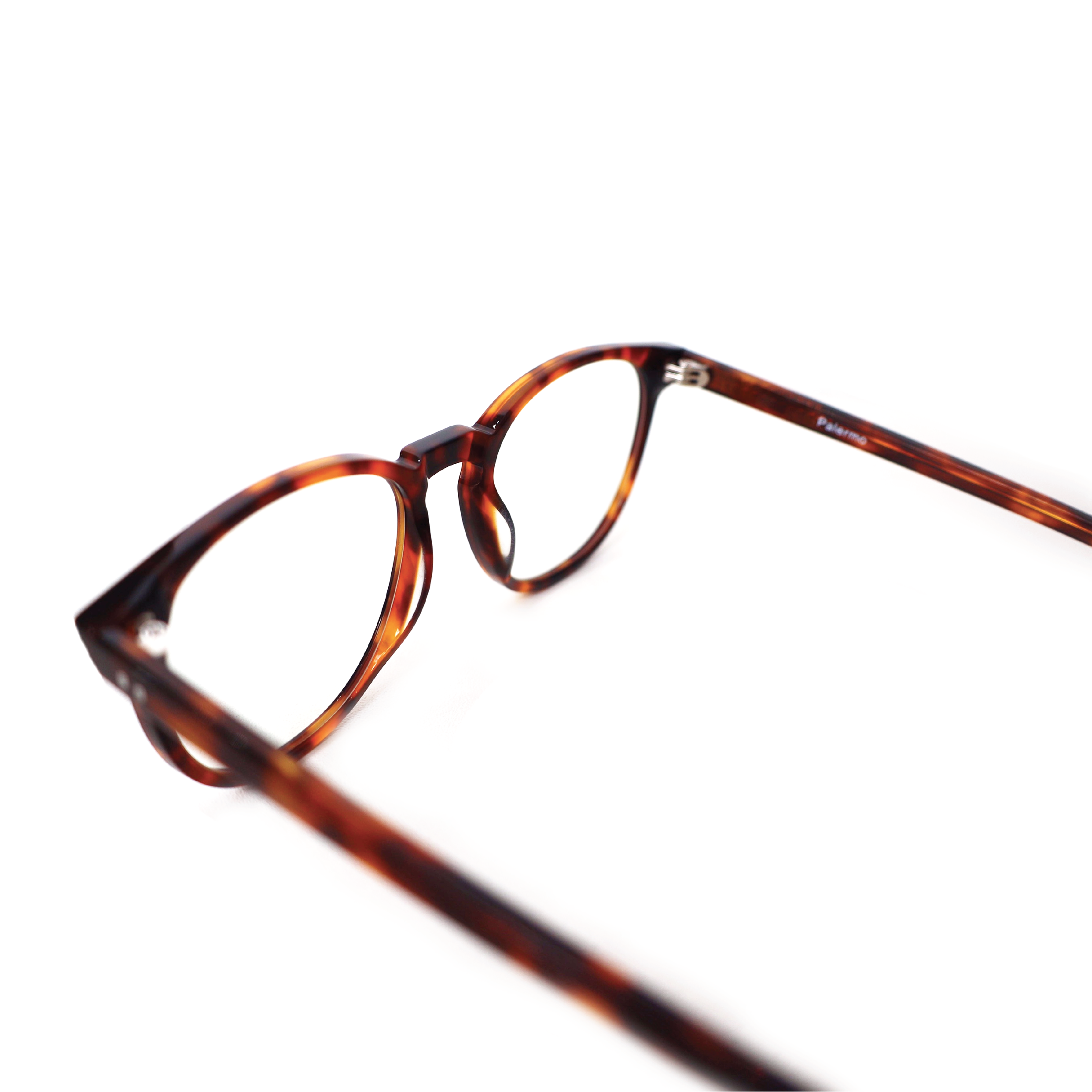 Palermo Tortoise Screen Glasses